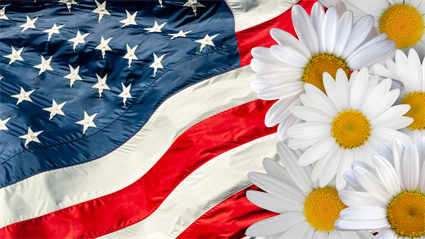 image Cultural Colors: Red, White, & Blue Daisies